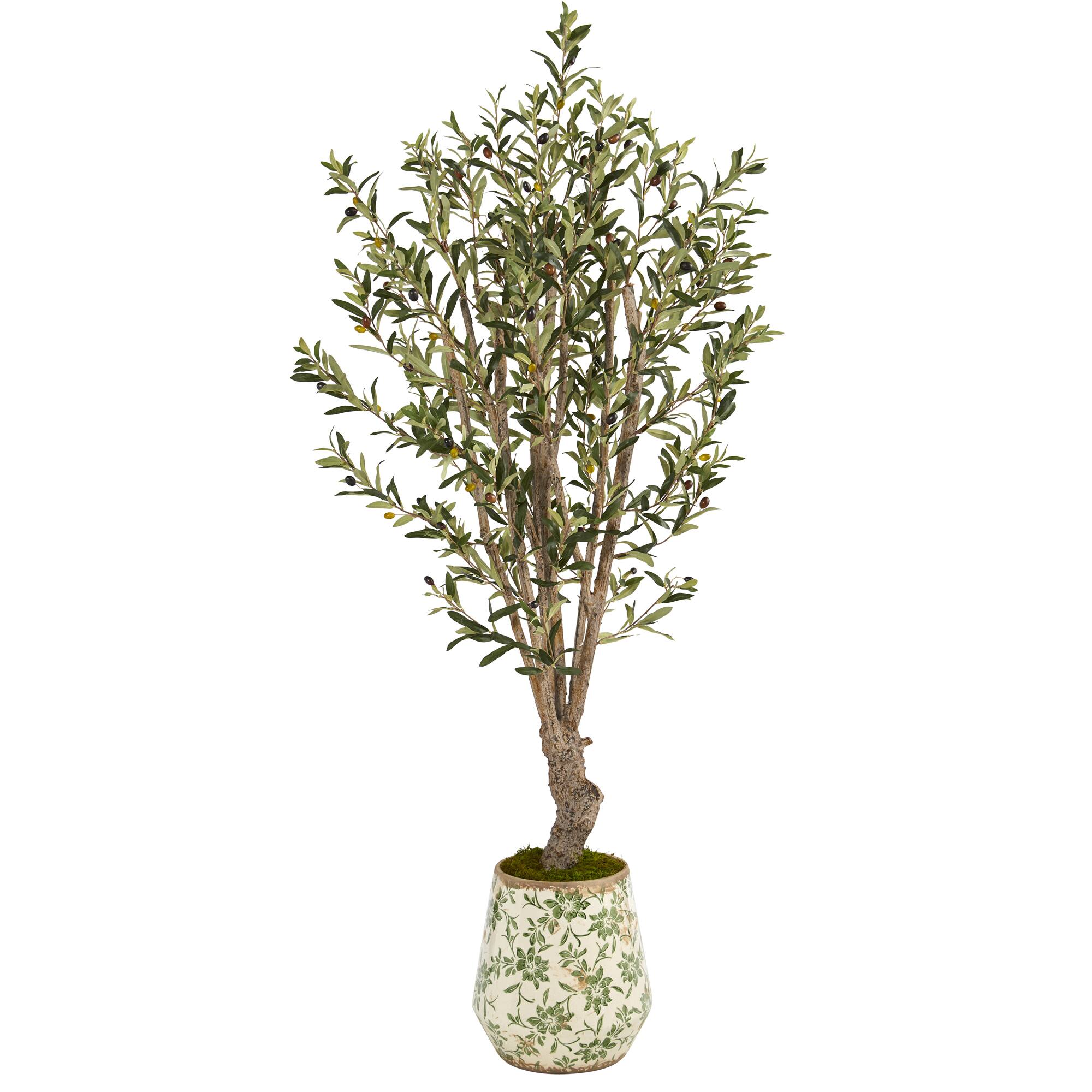 5ft. Olive Tree in Floral Print Planter